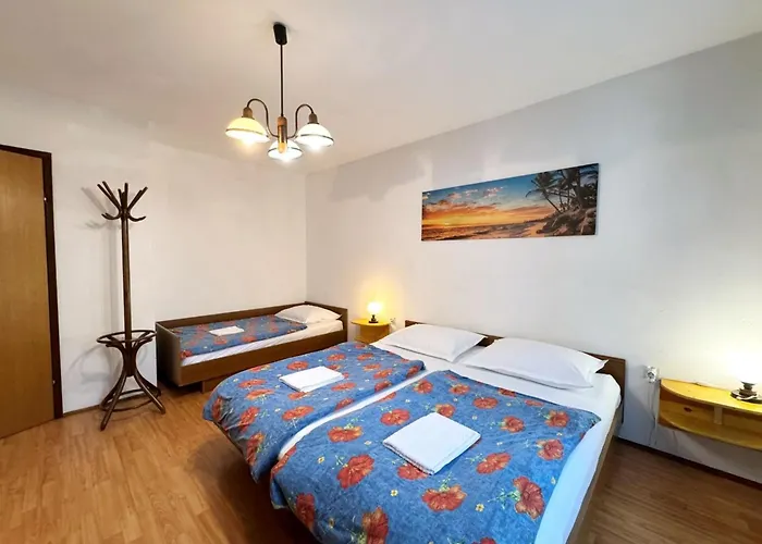 Srdoc By Interhome *